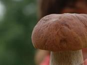 Incredible Benefits Mushrooms Your Skin Hair