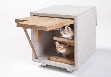 Cat Cube by Standard Architecture | Design