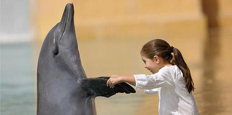 A photo op with a dolphin