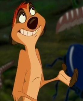 timon