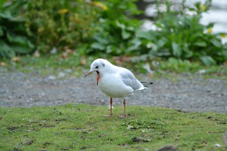 Our trip to the Lake District in pictures