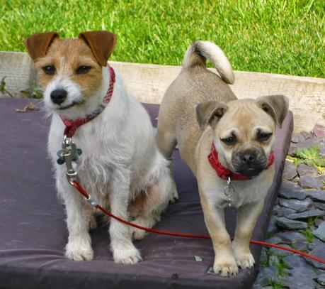 What a Pair of Posers!!