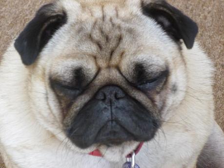 What a Pair of Posers!!