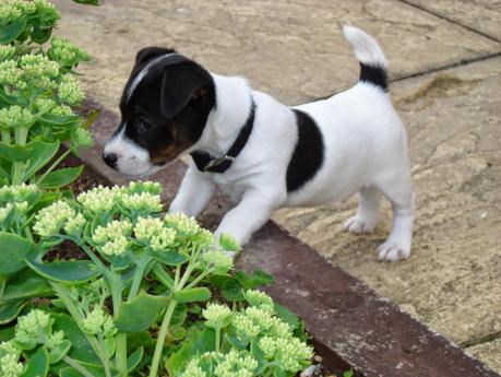 What a Pair of Posers!!