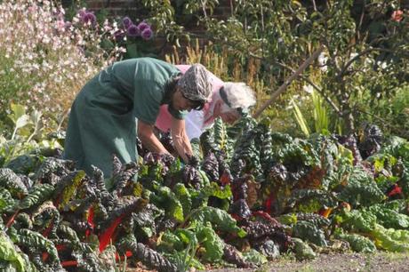 Womens Land Army at Wimpole Hall