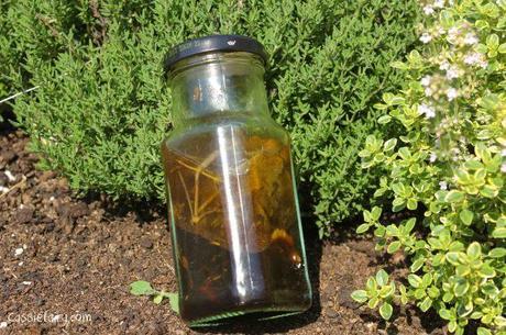 DIY homemade herb and balsamic oil dressing using herbs from the garden-2