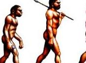 Creation: “missing Link” Missing!