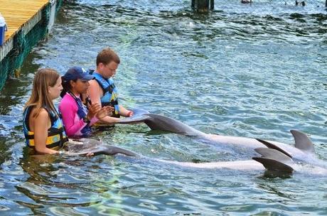 Learning about dolphins at Moon Palace