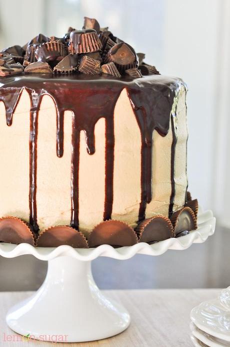 The Ultimate Peanut Butter Cup Chocolate Cake-0464