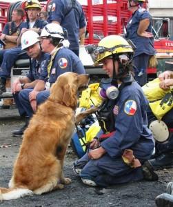 Denise Corliss is pictured with her search dog Bretagne at Ground Zero in New York City in September 2001. It was their first deployment together.