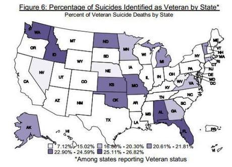 military vets suicides
