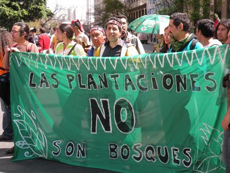 “Plantations are not forests” Protest at the World Forestry Congress, Buenos Aires, Argentina, 2009  Photo: Petermann/GJEP-GFC