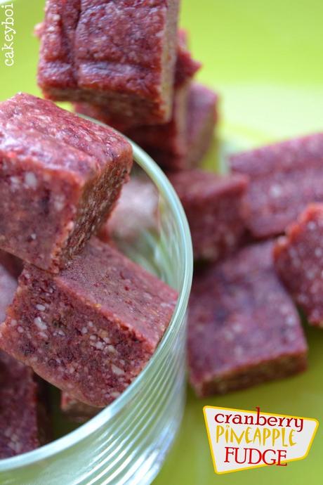 Raw Cranberry Pineapple 'Fudge'