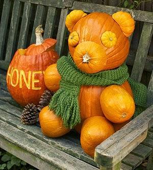 Decorating with Pumpkins and Gourds  - Teddy Bear