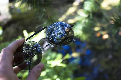 Silhouette IMG_0787 2