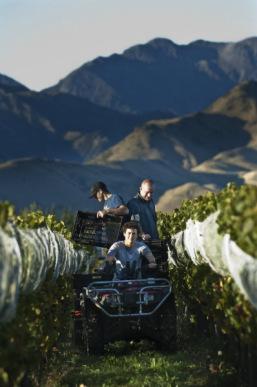 You Had Me at Biodynamic…A Talk about Terroir with Wine Maker Sam Weaver of Churton Wines, Marlborough NZ