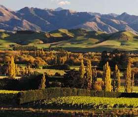 You Had Me at Biodynamic…A Talk about Terroir with NZ Wine Maker Sam Weaver – Churton Wines