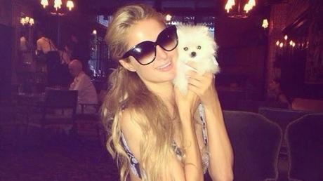 Paris Hilton spends $13K on the world's smallest Pomeranian