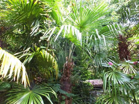 A Day at Crete Lodge Exotic Garden A Day at Crete Lodge Exotic Garden