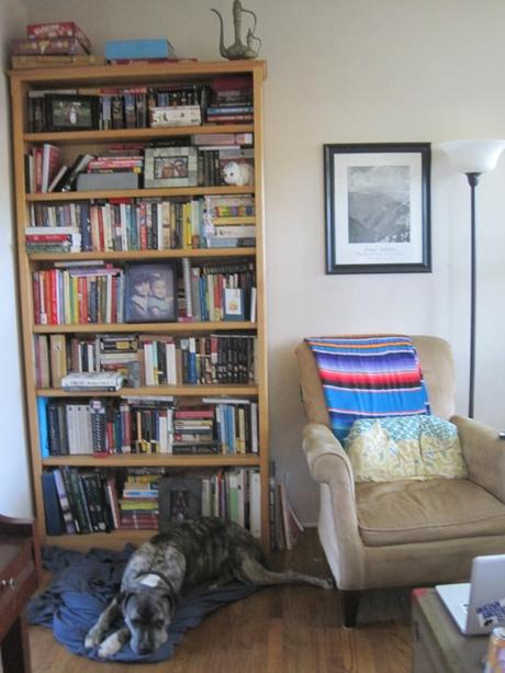 The desk is in storage, but here is the bookshelf (and dog).