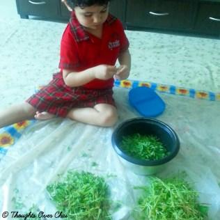 Teaching Children About Food & Spinach Corn Penne Bake Recipe