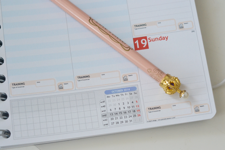 Daisybutter - UK Lifestyle and Fashion Blog: personal planner review