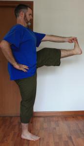 Utthita Hasta Padangusthasana from side