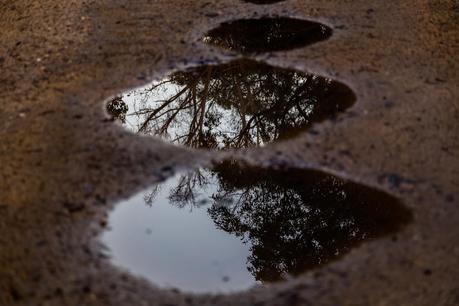 reflections in puddles