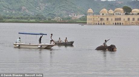 Swimming elephants and rescue at Jaipur ........... !!