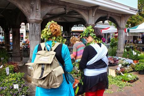 Hop Festival Hop Festival