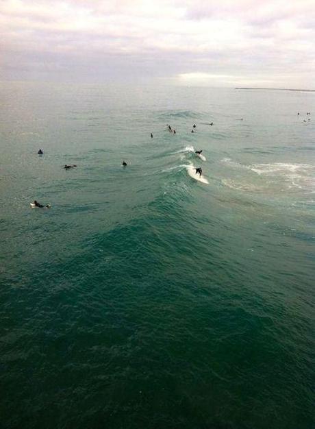 surfers