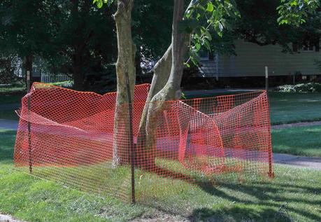 Warnings & Hazards  [Orange You Glad It’s Friday]