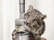 Save Snow Leopards Drinking Vodka. It's Win-Win.