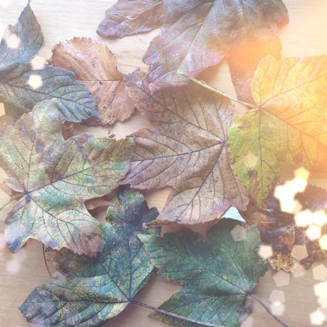 Toddler crafts; Autumn leaf garland