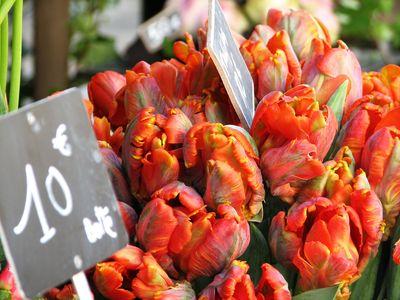 French flower market tulips corey amaro tongue in cheek blog