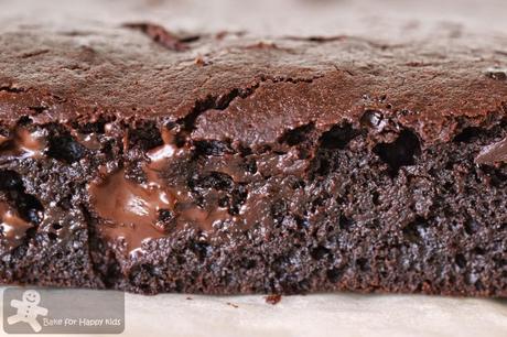 Light chocolate applesauce brownies Martha Stewart