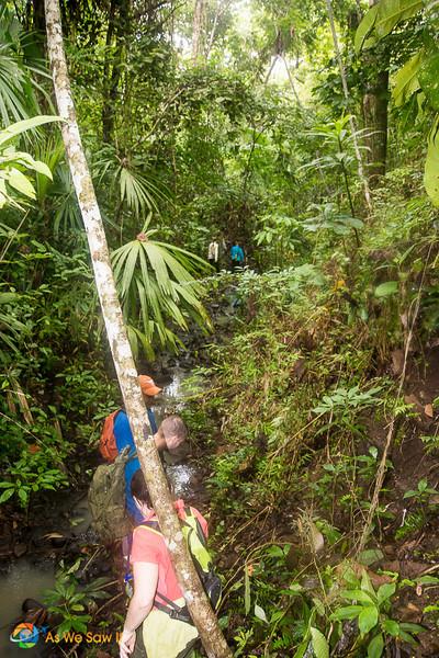 Darien 6204 L Panama to Colombia: Crossing the Darien Gap on Foot #SundayTraveler