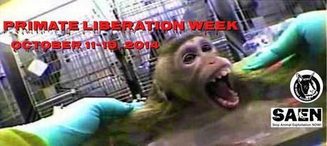 primate liberation week