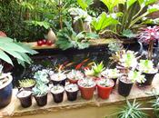 It's Autumn Already? Really?