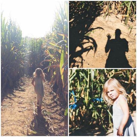 Corn Maze Collage