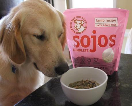 Sojos: Raw Dog Food Mix Review