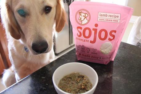 Sojos: Raw Dog Food Mix Review