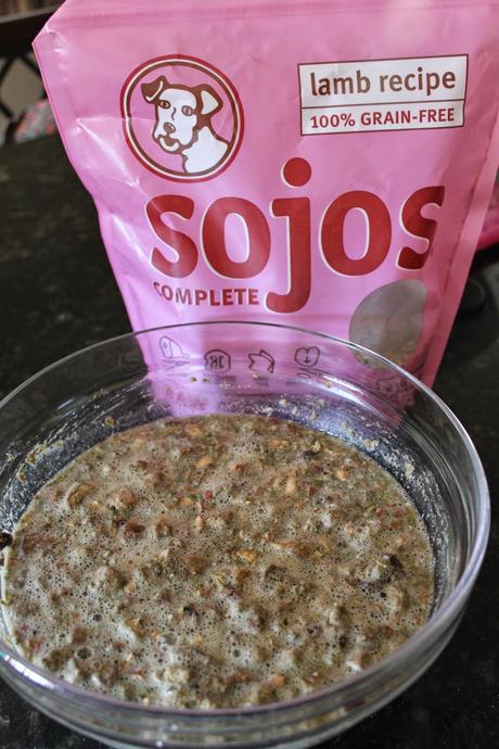 Sojos: Raw Dog Food Mix Review