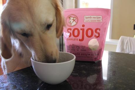 Sojos: Raw Dog Food Mix Review