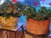 Study Makeover and...Venice?