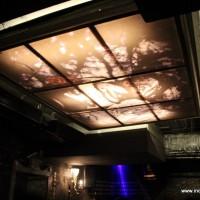 The beautiful ceiling with light and art