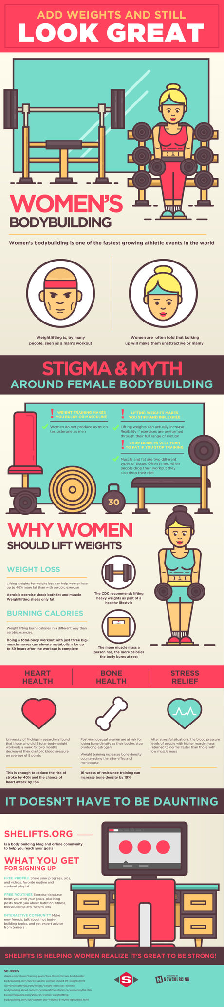 womens-bodybuilding