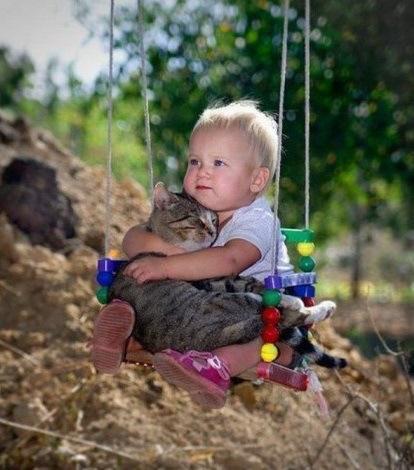 Top 10 Images of Animals on Swings