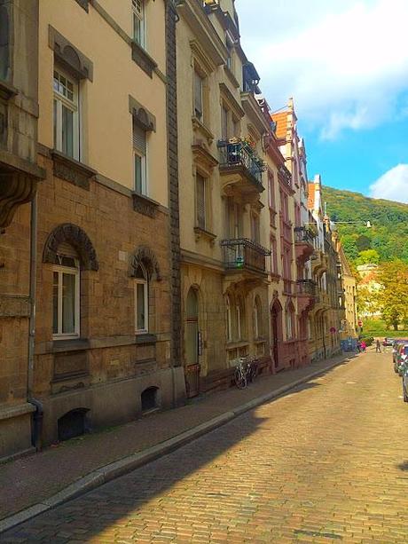 The Romantic Rhine and Black Forest