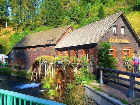 The Romantic Rhine and Black Forest